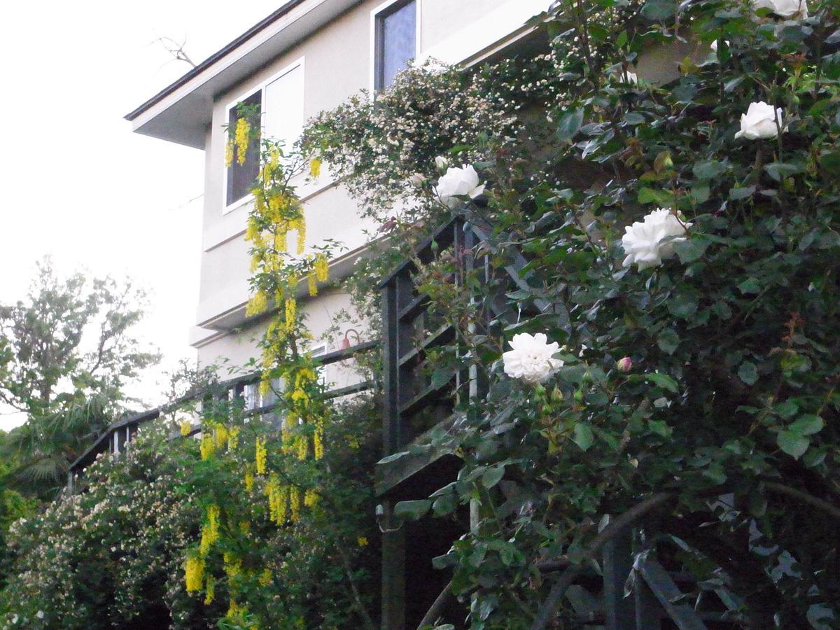Chiisana Hotel Hanaikada Ito  Exterior foto